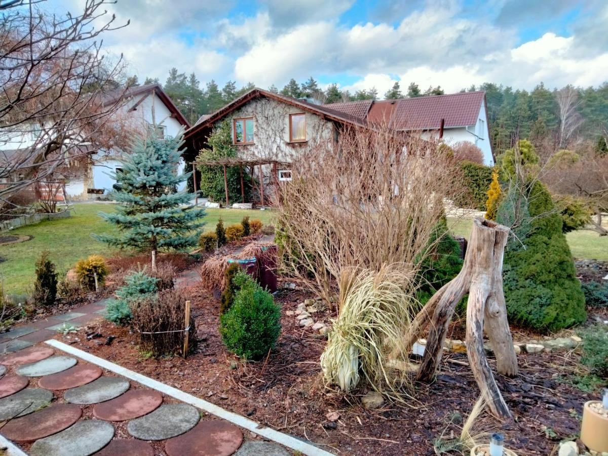 Vila Pod Piramida Ługniany Exteriér fotografie